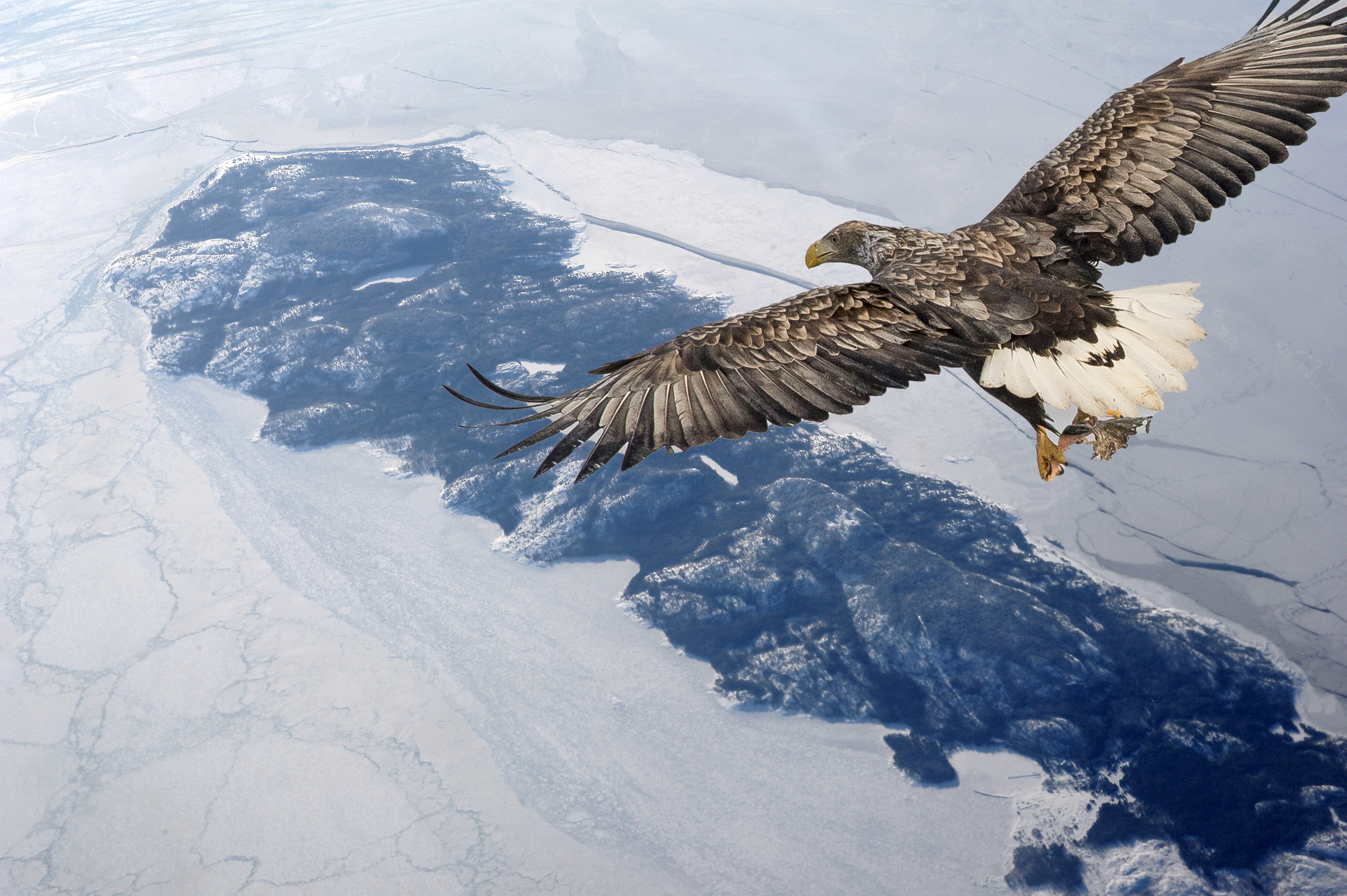 Tapahtuman kruunaa Pyhtäätäkin koskettava esitys Suomenlahden saarista ja dokumenttielokuva Takaisin – Kaipuu menetetyille saarille. Kuva: Juha Metso