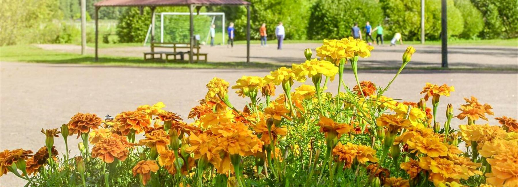 Kasvatus ja koulutus