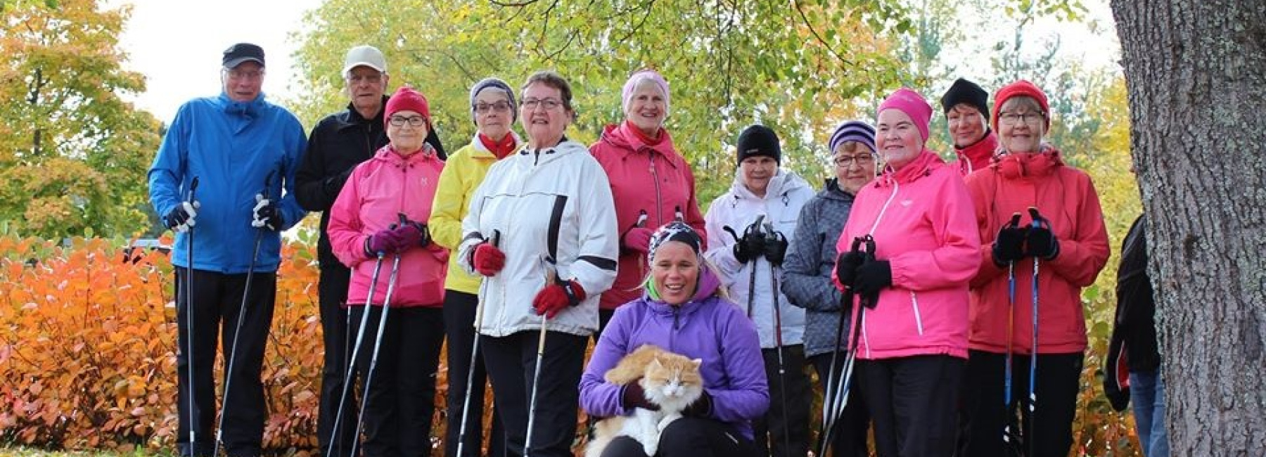 Koristekuva, ohjattu liikunta