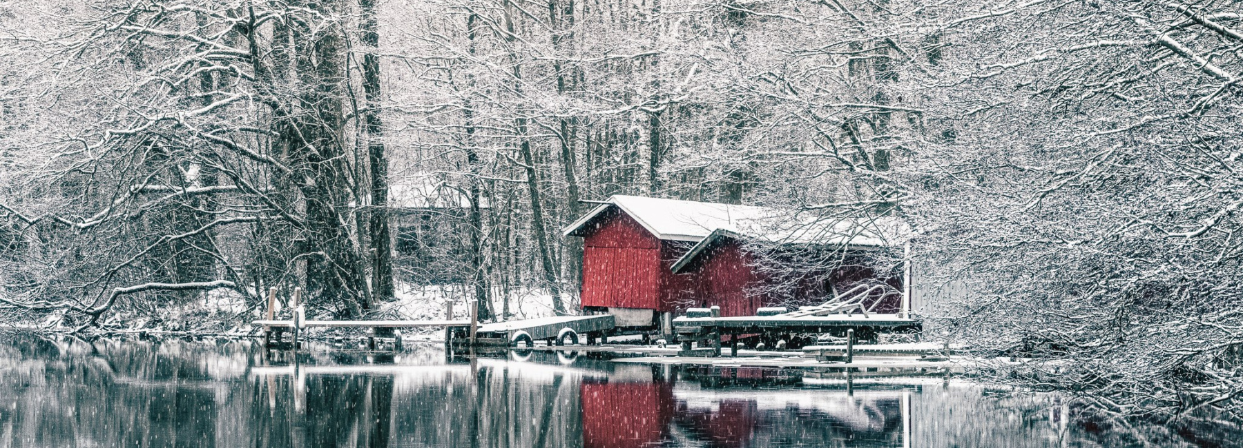 Struka talvella. Pyhtään kunta / Carl Svanfält