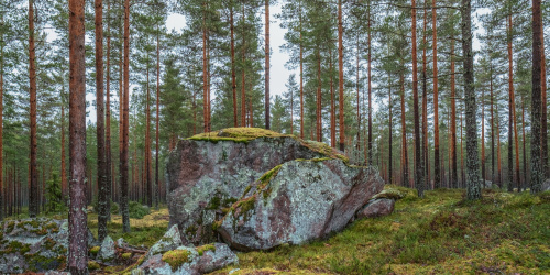 Risujen keräyslavat tulossa viikoilla 19,20 ja 21