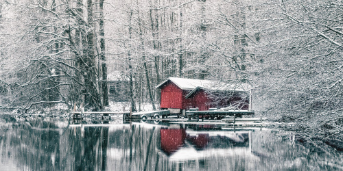 Struka talvella. Pyhtään kunta / Carl Svanfält